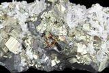 Pyrite, Sphalerite and Quartz Crystal Association - Peru #126604-1